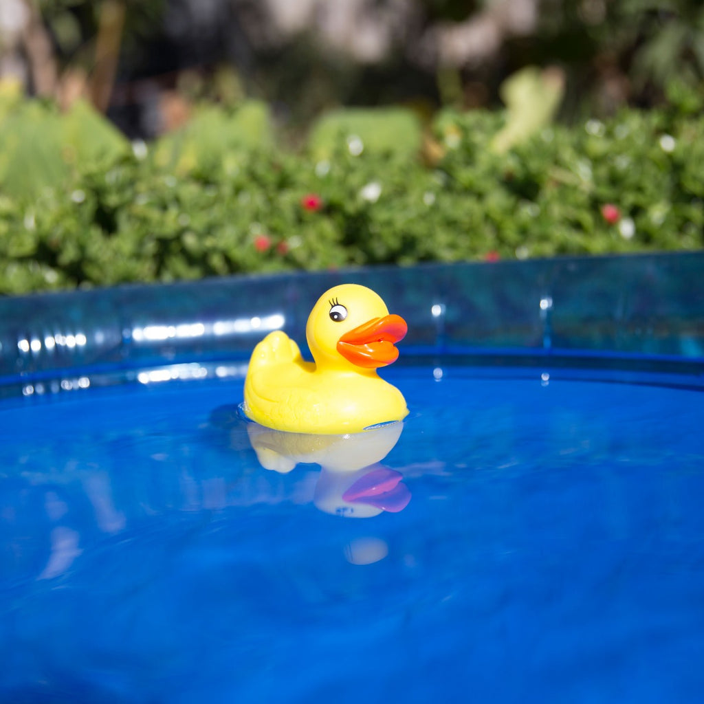 Playgro Bath Duckie - Fully Sealed