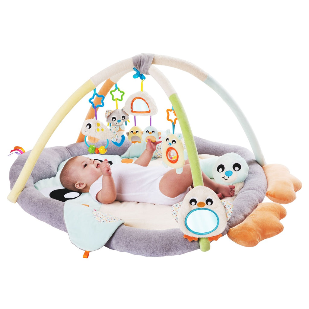Playgro Snuggle Me Penguin Gym