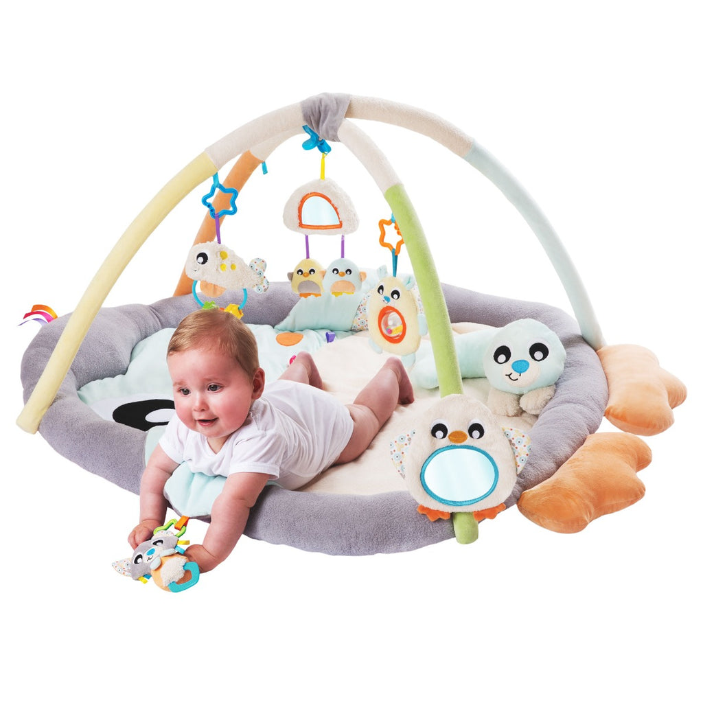 Playgro Snuggle Me Penguin Gym