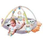Playgro Snuggle Me Penguin Gym