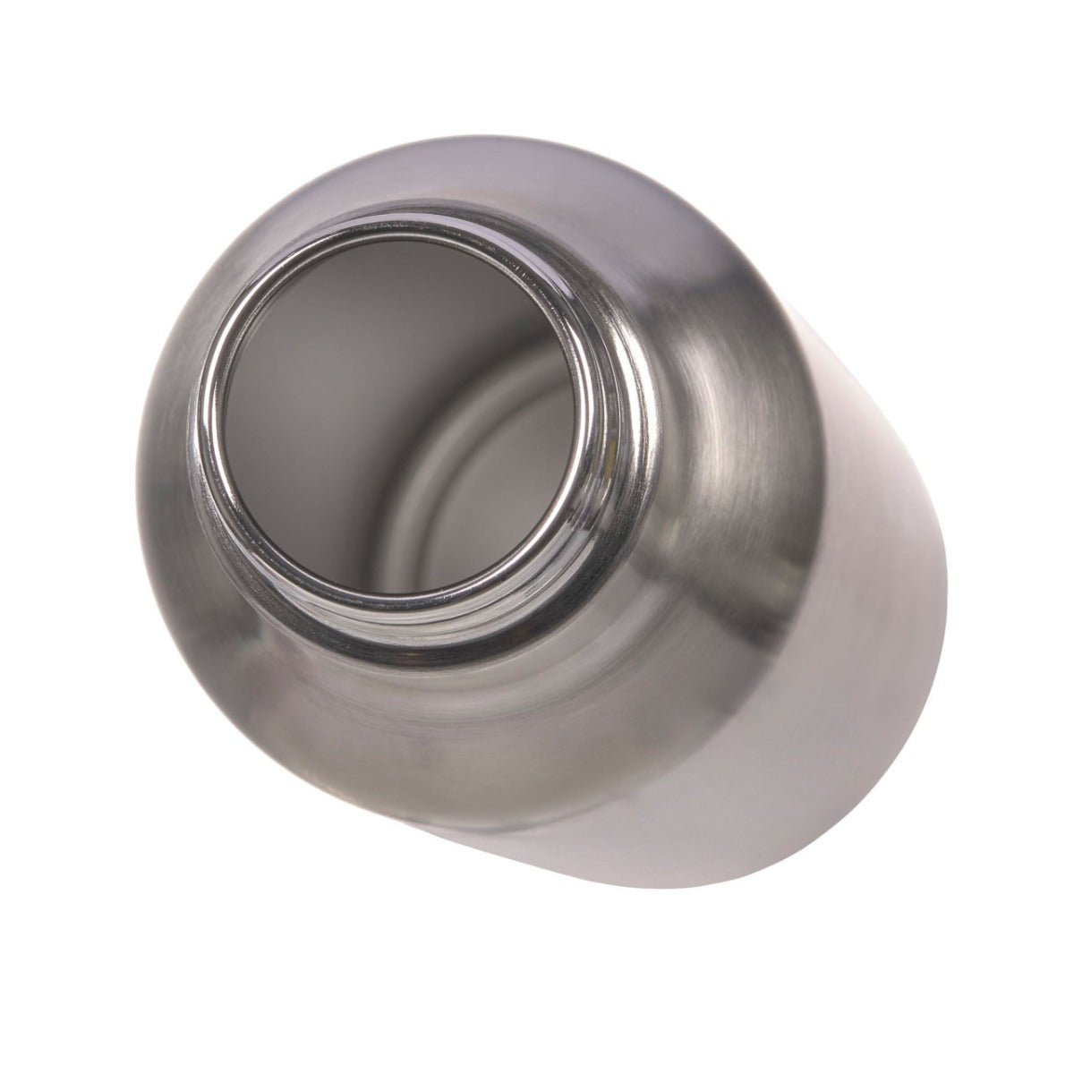 ليسيش - زجاجة مدرسية من الفولاذ المقاوم للصدأ- فضي