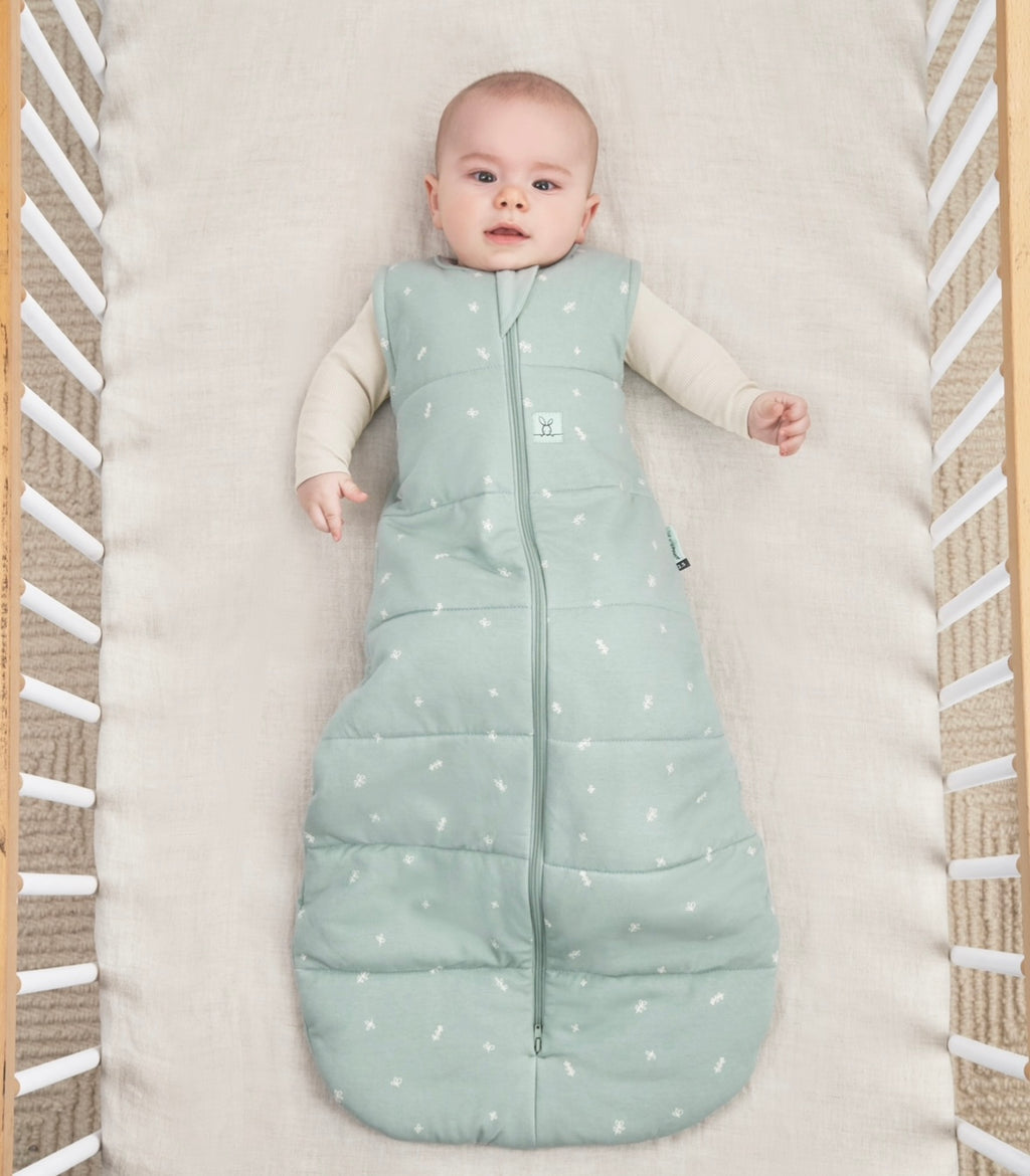 Ergo pouch jersey Sleeping Bag tog 2.5 3-12 months Sage