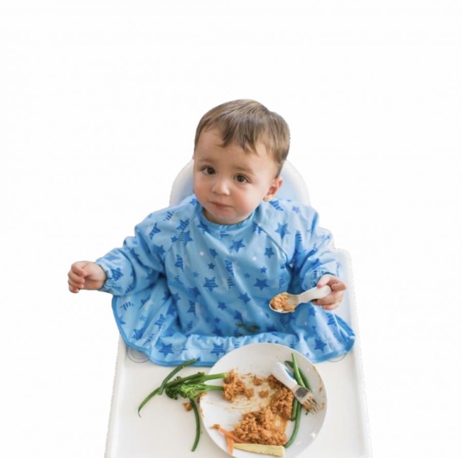 Tidy Tot Cover & Catch bib - Stars