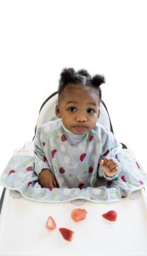 Tidy Tot Cover & Catch bib - Fruits