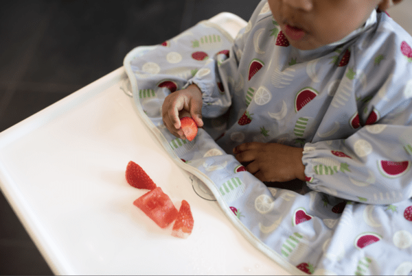 Tidy Tot Cover & Catch bib - Fruits