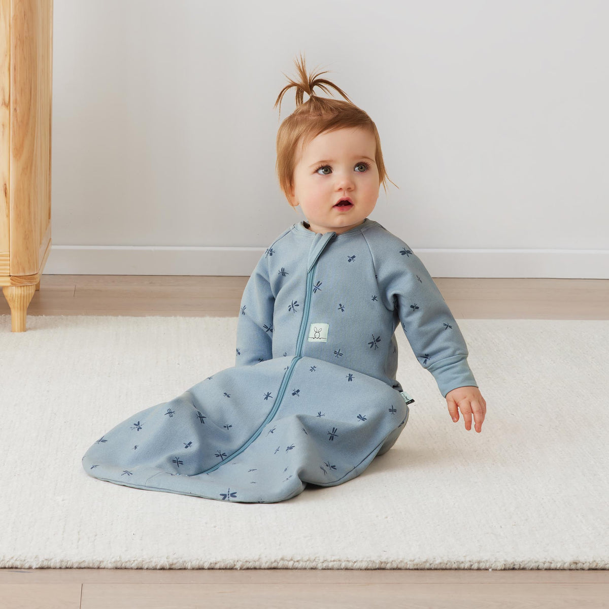 Ergo pouch Jersey Sleeping Bag with Sleeves tog 1 Dragonflies 3-12 months