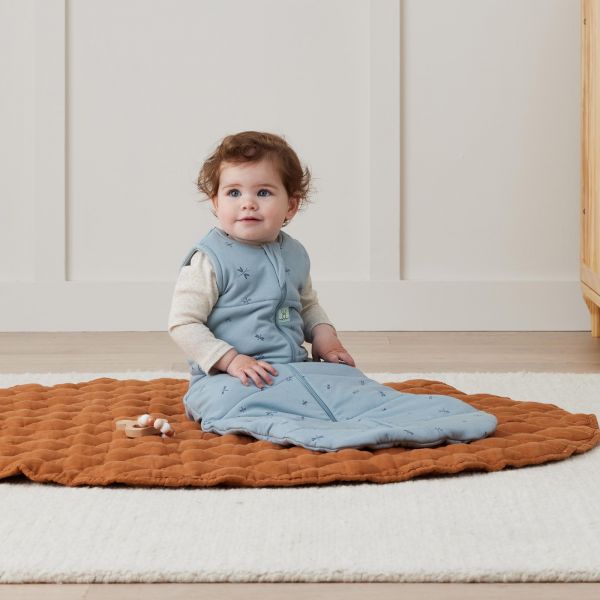 Ergo pouch jersey Sleeping Bag tog 2.5 month Dragonflies