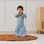 Ergo pouch Jersey Sleeping Bag with Sleeves tog 3.5 Dragonflies 3-12 months