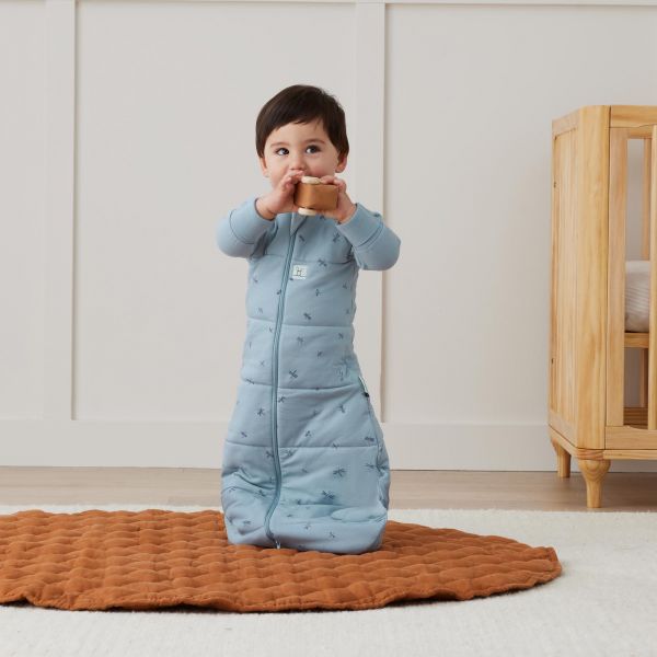 Ergo pouch Jersey Sleeping Bag with Sleeves tog 3.5 Dragonflies 3-12 months