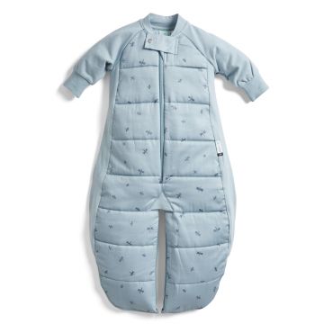 ergoPouch Sleep Suit Bag – TOG – 2.5 - Dragonflies