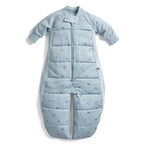 ergoPouch Sleep Suit Bag – TOG – 2.5 - Dragonflies