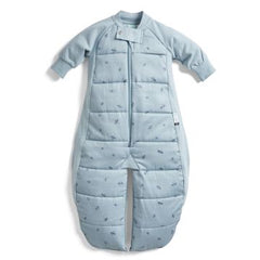 ergoPouch Sleep Suit Bag – TOG – 2.5 - Dragonflies