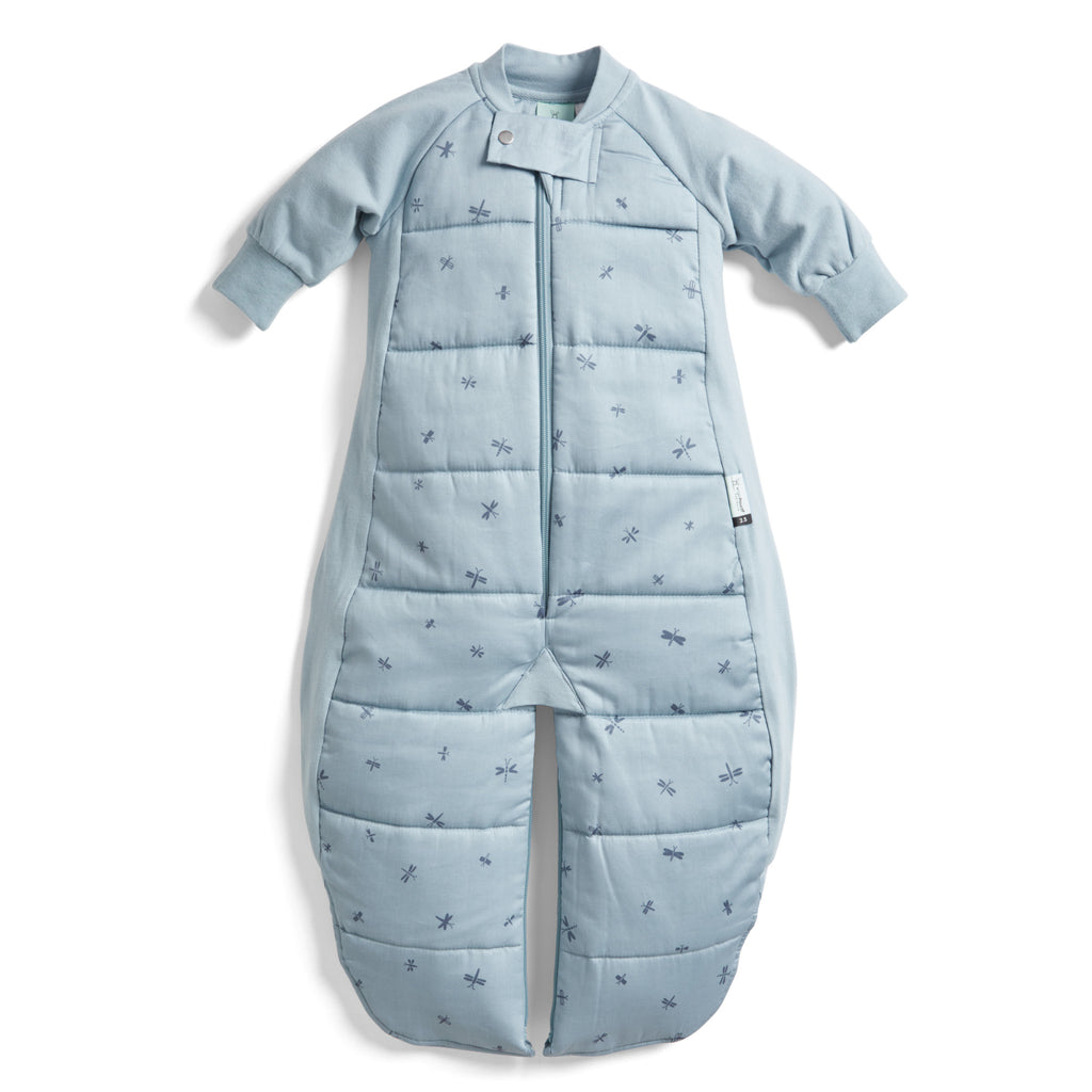 ergoPouch Sleep Suit Bag – TOG – 2.5 - Dragonflies