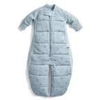 ergoPouch Sleep Suit Bag – TOG – 2.5 - Dragonflies