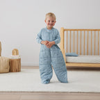 ergoPouch Sleep Suit Bag – TOG – 2.5 - Dragonflies
