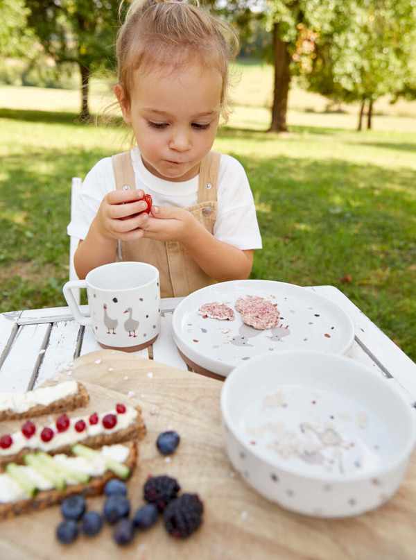 Lassig Tableware Set - Porcelain/Silicone – Tiny Farmer