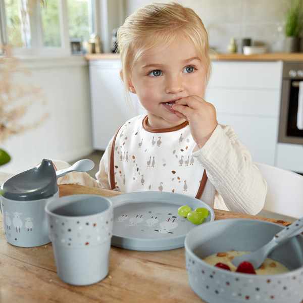 Lassig Value Pack Bib - 5 pcs assorted  - Goose