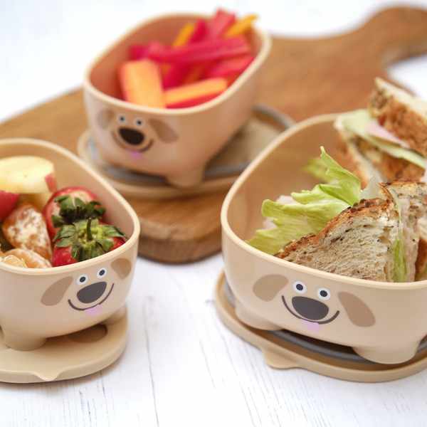 Prince Lionheart Bentomal® To-Go Food Containers - Dog