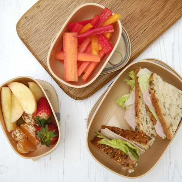 Prince Lionheart Bentomal® To-Go Food Containers - Dog