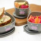 Prince Lionheart Bentomal® To-Go Food Containers - Hippo