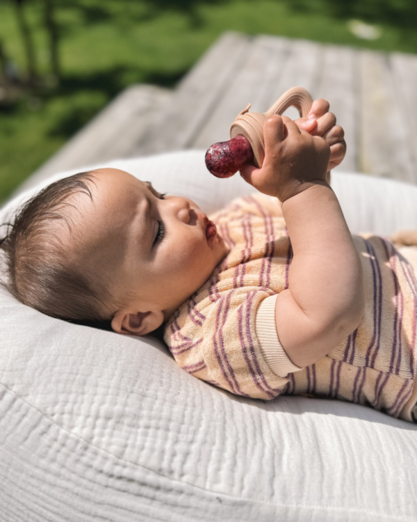 Chewies and More Fruit Pacifier - Camel