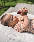 Chewies and More Fruit Pacifier - Camel