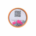 Lassig Patches Set DIY 2 pcs - lavender/peach