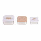 Lassig Stainless Steel Snack Boxes, Set of 3 – Tiny Team Cat