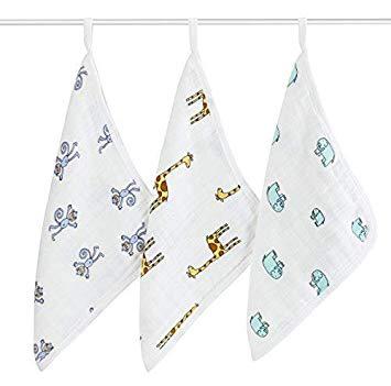 آدين و آنيس- جانجيل جام