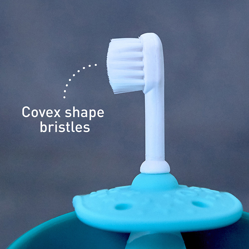 Blue 3 Stage Palm Grasp Toothbrush