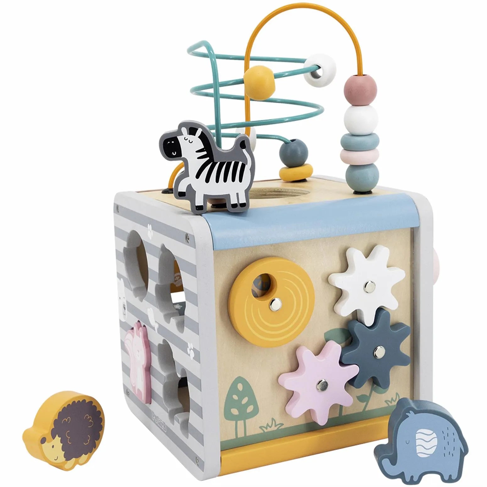 5-in-1 Activity Box