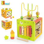 5-in-1 Activity Cube
