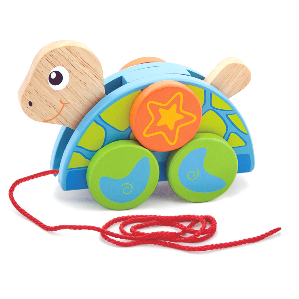 viga Pull Along -Turtle