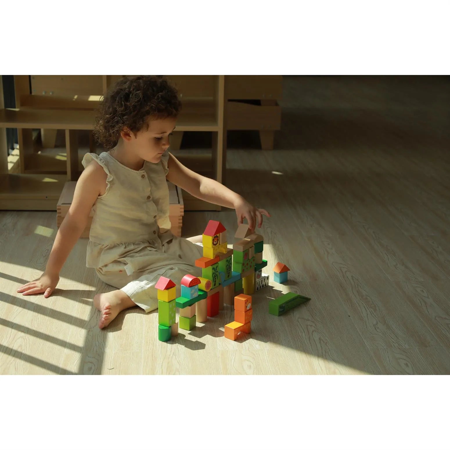 50 Pieces Zoo Block Set
