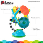 Sassy Teethe & Twirl Sensation Station