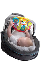 Playgro Lion Activity Kick Toy