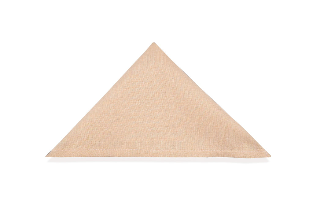 BABYJEM MUSLIN MOUTH TISSUE  / 4 PCS / SALMON