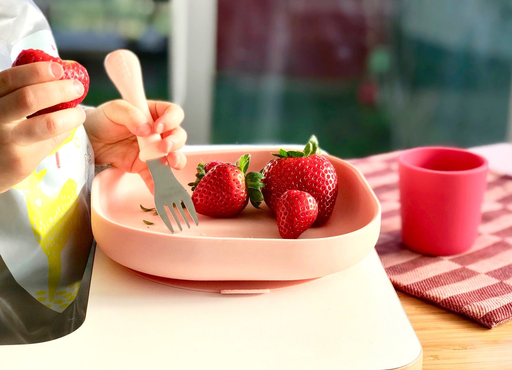 Beaba Silicone Meal Set of 4 - Pink
