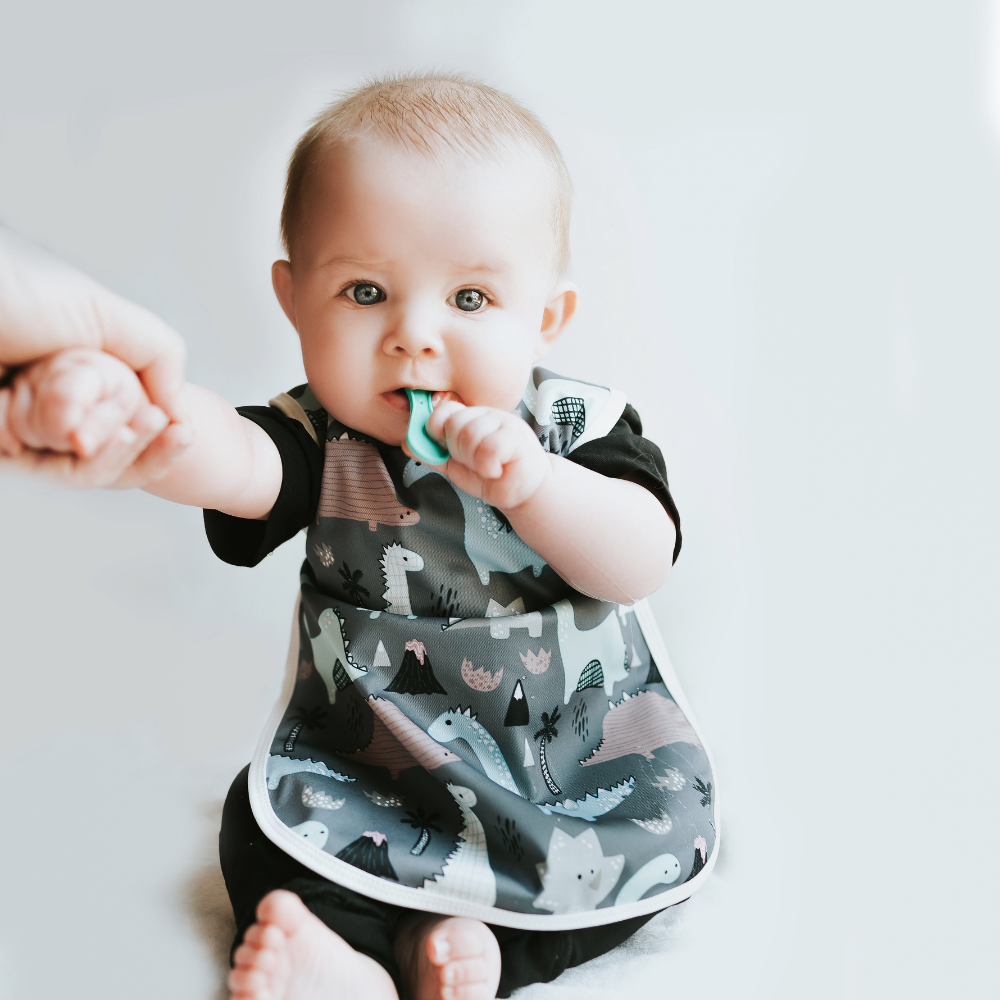 Bapron Baby Dinosaur Drawing