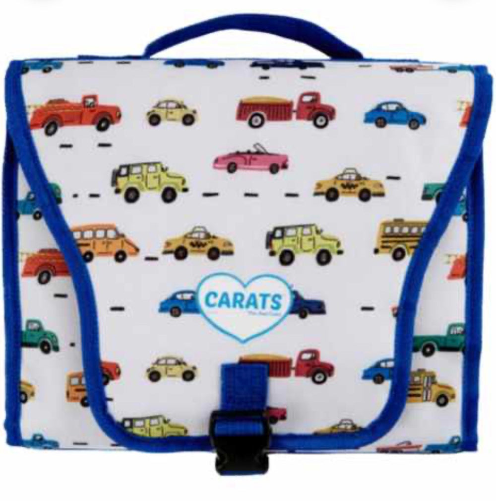 Cool cart  Car Seat Cooler