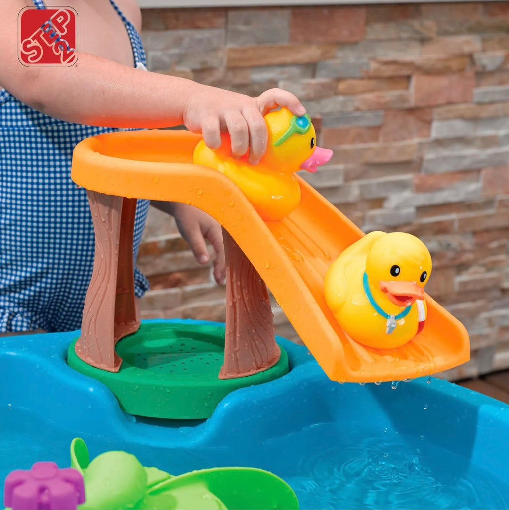 step2 DUCK POND WATER TABLE
