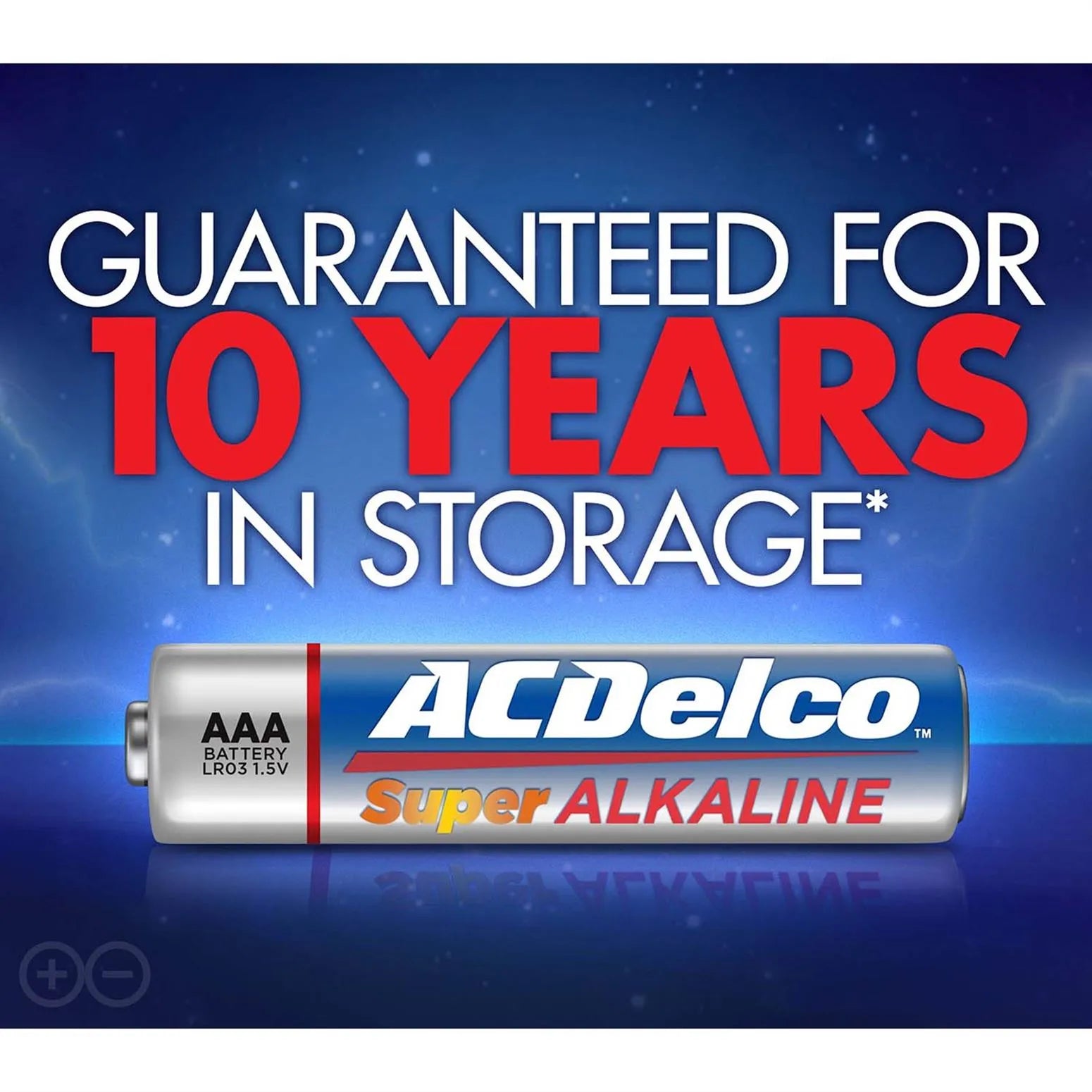 ACDelco Alkaline AAA Battery Pack of 2 Pieces