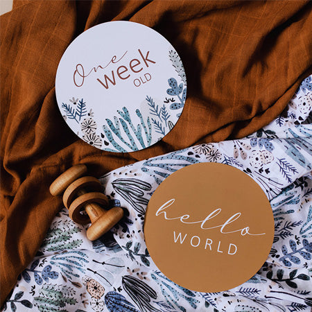 Arizona and Bronze Reversible Milestone Cards