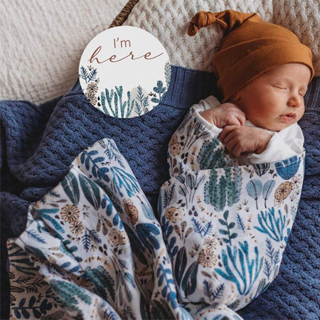 Arizona and Bronze Reversible Milestone Cards