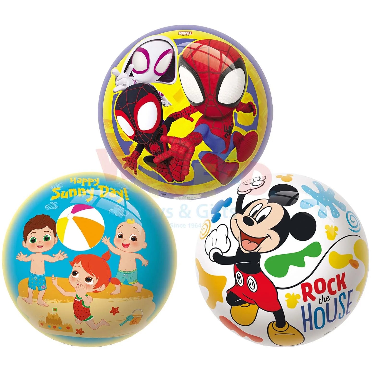 Assorted Character Play Ball
