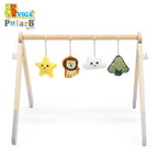 Baby Play Gym