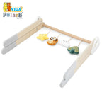 Baby Play Gym