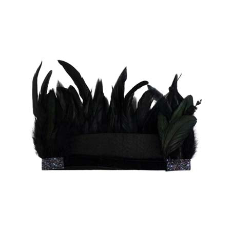 Black Feather Crown