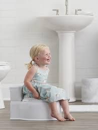 Regalo My Little Toddler Potty