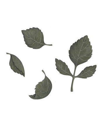 Dark Green Leaves Wall Sticker
